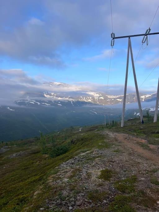 Tromso'S Best Location? City & Nature 5 Mins Away. Exteriör bild